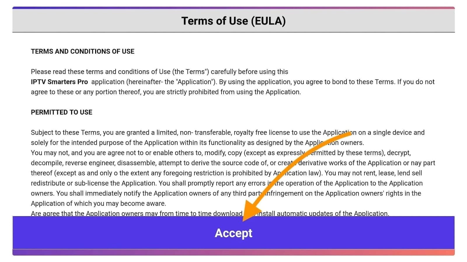 Amazon Fire TV Stick: Accept the terms