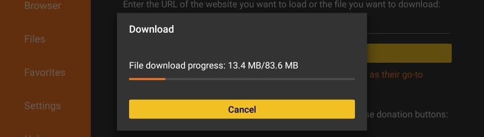 Amazon Fire TV Stick: Wait for the download